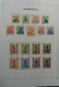 Delcampe - Belgien: 1849/1952: Almost Complete, Mostly MNH And Mint Hinged Collection Belgium 1849-1952 In Davo - Altri & Non Classificati