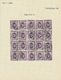 Delcampe - O/*/** Ägypten: 1872-1933: Mint And Used Specialized Collection, From Sphinx & Pyramid Issues With A Lot Of - 1915-1921 Protectorat Britannique