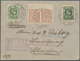 Br Estland: 1919 - 1920, Lot Of 15 Covers From (mostly) Famouse RISBERG Correspondance. Some Small Faul - Estland