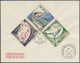 Delcampe - Br Frankreich: 1925/1962, Frankreich Und Kolonien, Partie Von Ca. 57 Belegen, Dabei Dekorative Flugpost - Used Stamps