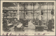 Delcampe - Frankreich - Besonderheiten: 1898/1930, Immenser Bestand Von Ca. 51500 Historischen Ansichtskarten O - Altri & Non Classificati