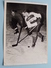 Delcampe - IJSHOCKEY ( O.a. Antwerp Ice Hockey Club - BRABO Kendall Oil - ) Verzameling Foto's + Docu Anno 1940-50 ( HOCKEY ) ! - Sports