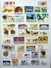 Delcampe - World Motiv/motief/motive/thema/thematics/animals/tiere Collection In 4 Stockbooks - Verzamelingen (in Albums)