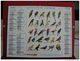 Les Oiseaux / Poisson , Calendrier Almanach Du Facteur - Oller - 2008 - 2 Photos - Tamaño Grande : 2001-...