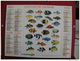 Les Oiseaux / Poisson , Calendrier Almanach Du Facteur - Oller - 2008 - 2 Photos - Formato Grande : 2001-...