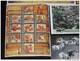 India 2009 Year Pack Of 12 Whale Wild Life Railway Textile Polar Painting Horses Architecture Animal M/s MNH Inde Indien - Full Years