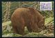 Finlande - Carte Maximum 1954 - Animaux - L' Ours - Maximumkaarten