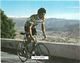 LOT DE 6 CARTES SUR LES COUREURS CYCLISTES - 5 - 99 Cartes