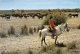 EN CAMARGUE, LA MANADE DE TAUREAUX DESTINES AUX COURSES - Autres & Non Classés