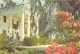 BOONE HALL PLANTATION NEAR CHARLESTON - Charleston