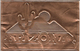 Copper Covered, Engraved Postcard From Arizona USA (5434) - Covers & Documents