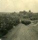 Moyen Orient Lilban Cana Al Galil Kana Ancienne Stereo Photo NPG 1900 - Stereoscopic