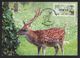 Taiwan R.O.CHINA - ATM Frama -Maximum Card.- Sika Deer #121 Blue Imprint - Vignette [ATM]