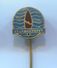 Rowing, Rudern, Canu, Kayak - VK BOROVO, CROATIA, Vintage Pin, Badge, Abzeichen - Aviron