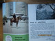 REVUE SABENA MAGAZINE NOVEMBRE 1966  EXPO 67 MONTREAL - Tourisme & Régions