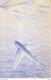 RYUKYU  UX 18  **    GREETINGS   POSTAL CARD  FLYING  FISH  BACK - Ryukyu Islands