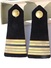 Delcampe - RARE PAIRE EPAULETTES OFFICIER MARINE FRANCE FABRICATION U.S.A. W.W.2  + BOITE NEW YORK - Uniforms