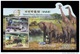 Delcampe - North Korea 2017 Mih. 6405B/09B (Bl.950B/54B) Natural History Museum. Flora. Fauna. Dinosaurs. Elephants (imperf) MNH ** - Corea Del Nord