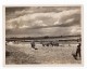 Royaume Uni Campagne Anglaise Travaux Des Champs Chevaux Ancienne Photo 1930 - Professions