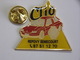 Pin's - RENAULT - Garage - Renault CLIO - Repovy SEMECOURT - Renault