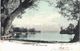 Carte Postale Ancienne De LAC De THOUNE (THUNER SEE) - Thoune / Thun