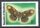 Maldive Islands 1975. Scott #584 (MNH) Brahmaea Wallichii, Butterfly - Maldives (1965-...)