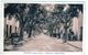 Carte Postale De Volonne - Boulevard Jacques-paulon - - Andere & Zonder Classificatie