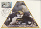 AUSTRALIAN ANTARCTIC TERRITORY 1993 Definitives/Wildlife: Set Of 3 Maximum Cards CANCELLED - Cartes-maximum