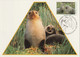 AUSTRALIAN ANTARCTIC TERRITORY 1993 Definitives/Wildlife: Set Of 3 Maximum Cards CANCELLED - Tarjetas – Máxima