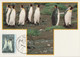 AUSTRALIAN ANTARCTIC TERRITORY 1993 Definitives/Wildlife: Set Of 3 Maximum Cards CANCELLED - Tarjetas – Máxima