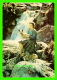 FAMILLES ROYALES - KER MAJESTY THE QUEEN BY A WATERFALL, NR. BALMORAL - J. ARTHUR DIXON - - Familles Royales