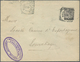 Delcampe - GA Niederländisch-Indien: 1898/1902 (ca.), Stationery Envelopes All Commercially Used (8, Inc. Two W. U - Nederlands-Indië