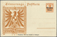 Delcampe - GA Deutsche Besetzung I. WK: Landespost In Belgien - Ganzsachen: 1914/17, Abwechslungsreicher Posten Vo - Bezetting 1914-18
