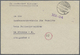 Delcampe - Br/GA Französische Zone: 1945/1947, Interessante Sammlung Barfrankaturen Und Aufbrauchs-Ganzsachenkarten M - Sonstige & Ohne Zuordnung