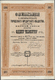 Delcampe - Varia (im Briefmarkenkatalog): Collectors Book With Very Large Sized Russian Birth Certificates (5 P - Andere & Zonder Classificatie
