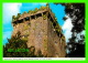 CORK, IRELAND - BATTLEMENTS, SHOWING BLARNEY STONE, BLARNEY CASTLE - PHOTO JOHN HINDE No 2/191 - - Cork