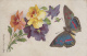 Animaux - Fleurs Pensées Et Papillon Petit Mars - Publicité Chicorée Casiez Bourgeois Cambrai 59 - Papillons