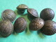 8  Boutons /Militaria/ Prytanée Militaire/Vers 1900-1930      BOUT126 - Buttons