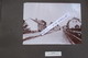 Delcampe - MARNE / AISNE Exceptionnel Album De 47 Photos  FISMES Et Sa Région ( BLANZY, COURVILLE, BAZOCHES...........) Vers 1900 - Fismes