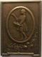 Médaille Bronze. La Fleur De L'Orphelin. G. Devreese. 60x45 Mm - 71gr - Professionnels / De Société