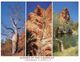 (111) Australia - (with Stamp At Back Of Postcard) - WA - Kimberley NP - Autres & Non Classés