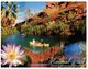 (111) Australia - (with Stamp At Back Of Postcard) - QLD - Lawn Hill NP - Far North Queensland