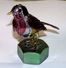 RARE SUPERBE SCULPTURE OISEAU METAL SUR ECROU BELLES COULEURS / AFY TBE - Autres & Non Classés