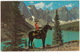 A Member Of The Famous Royal Canadian Mounted Police - Scenic Mountain Background (1971) - Politie-Rijkswacht