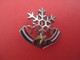 Médaille De Sport/Ski/ESF/Flocon Avec Etoile/DECAT Paris/ Bronze Nickelé Cloisonné Peint/Vers 1960 - 1980        SPO205 - Invierno
