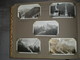 Delcampe - Ancien "ALBUM PHOTOS "Photos N&B  Amateur .Excursions Montagne + 200 Photos .Années 1934-36 - Albums & Collections