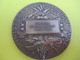 Médaille De Table / Ministère De L'Agriculture/Concours Central Hippique/Paris/Alphée DUBOIS/1924  SPO213 - Ruitersport