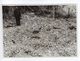 Photographie Photo Rouen Bombardement 1941 Rue De La Rochefoucauld Soldats Allemands Venus Constater Dégats Trous Bombe - Guerre, Militaire