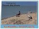 (300) Australia - QLD - Kurumba Point Fisherman And Pelican - Far North Queensland