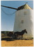 Mühlenturm In Odeáxere - Esel/Burro/Ane/Donkey - (Reisebilder Portugal Algarve Von Werner Scharnweber) - Faro